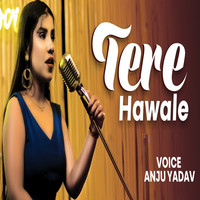 Tere Hawale