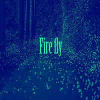 Fire Fly