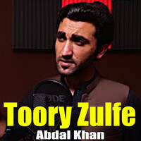 Toory Zulfe