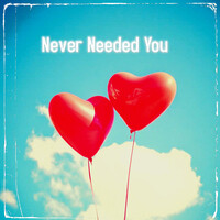 Never Needed You