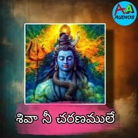 Shiva Nee Charanamule