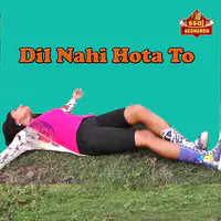 Dil Nahi Hota To