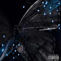 Black and Bruised Butterfly (Take Off)