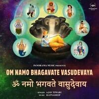 Om Namo Bhagavate Vasudevaya