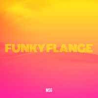 Funky Flange