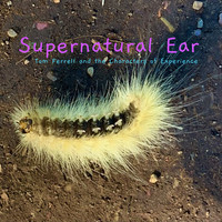 Supernatural Ear