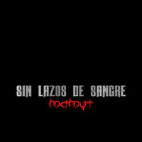 Sin Lazos de Sangre