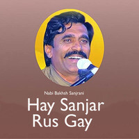 Hay Sanjar Rus Gay