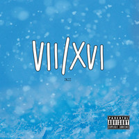 VII XVI 2k22