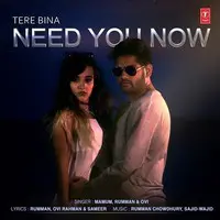 Tere Bina Need You Now