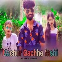 Kachur Gachhe fashi