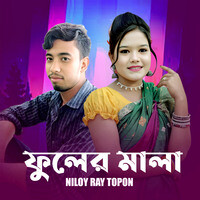 Niloy Ray Topon