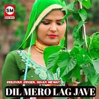 Dil Mero Lag Jave