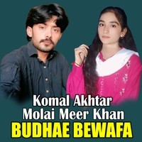 Budhae Bewafa