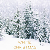 White Christmas (Cozy Live Session)
