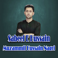 Sabeel E Hussain