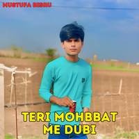 Teri Mohbbat Me Dubi