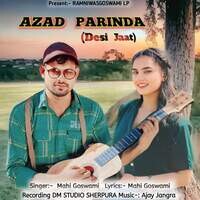 Azad parinda(desi Jaat)