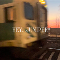 Hey...Juniper