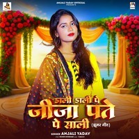 jija sali holi bhojpuri mp3 song