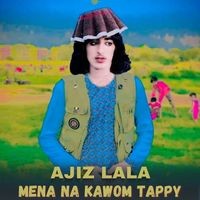 Mena Na Kawom Tappy