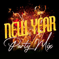 New Year Party