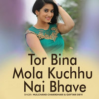 Tor Bina Mola Kuchhu Nai Bhave