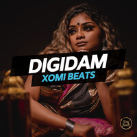 Digidam