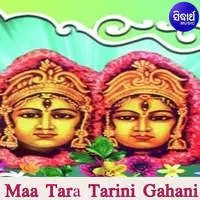 Maa Tara Tarini Gahani