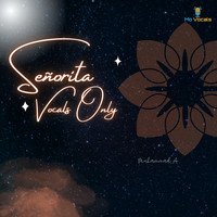 Señorita (Vocals Only)