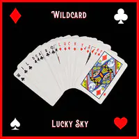 Wildcard