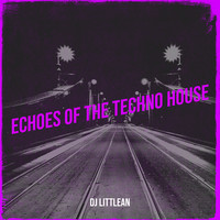 Echoes of the Techno House