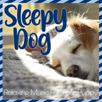 Sleepy Dog - Relaxing Music for Your Puppy