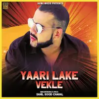 Yaari Lake Vekle