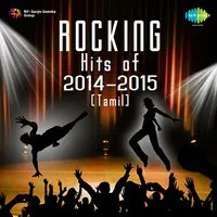 Rocking Hits of 2014-2015