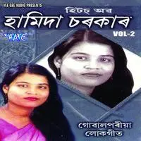 Hits Of Hamida Sarkar Vol-2