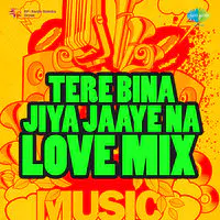 Tere Bina Jiya Jaaye Na Love Mix