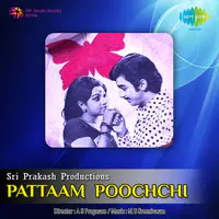 Pattaam Poochchi