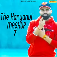 The Haryanvi Mashup 7