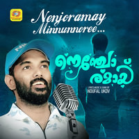 Nenjoramay Minnunnoree (From "Nenjoramay")