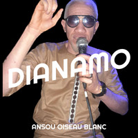 Dianamo