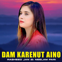 Dam Karenut Aino