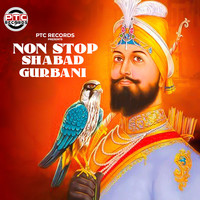 Non Stop Shabad Gurbani