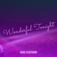 Wonderful Tonight