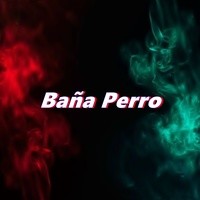 Baña Perro