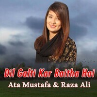 Dil Galti Kar Baitha Hai 