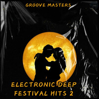 Electronic Deep Festival Hits 2