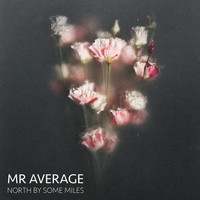 Mr Average