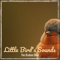 Little Bird's Sounds