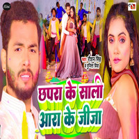 holi video kallu ji sali jija song download